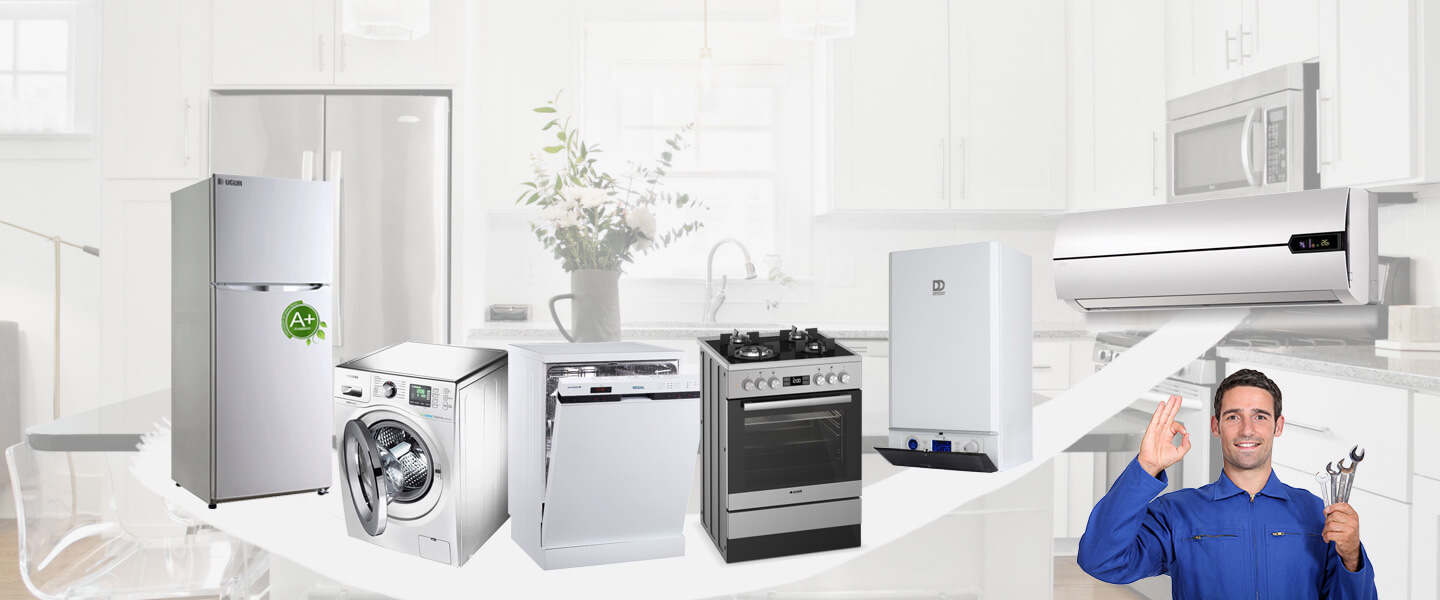Asarlık Warmhaus Servisi